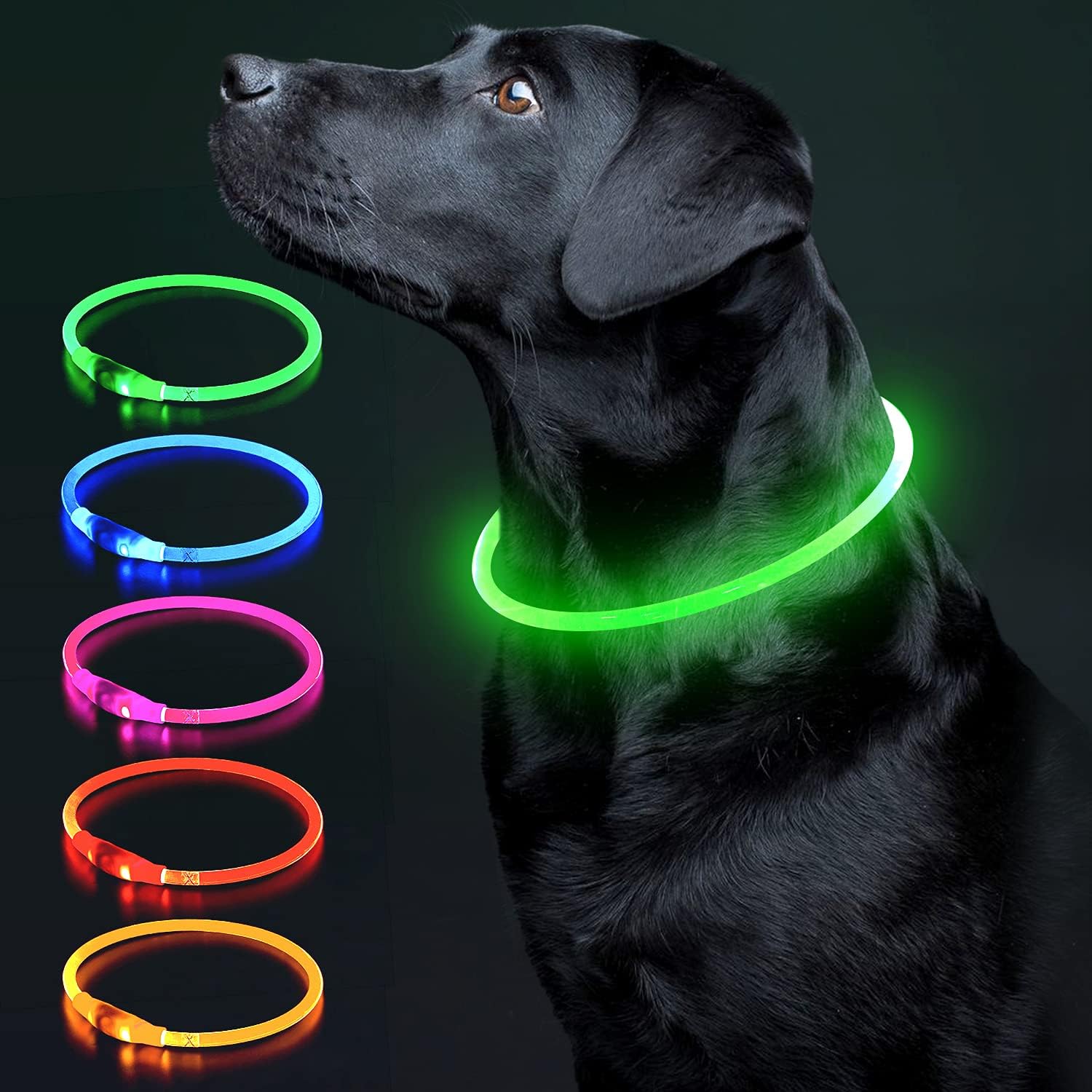 Collier lumineux pour chien 